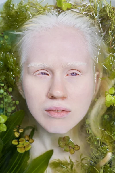 Above view of face of young serene albino woman lying in pure water with green plants while taking relaxing bath during photo session