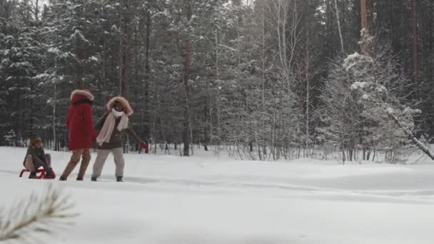 Çocuklu Modern Afrikalı Amerikalı Bir Ailenin Kış Günlerini Ormanda Yürüyüp — Stok video