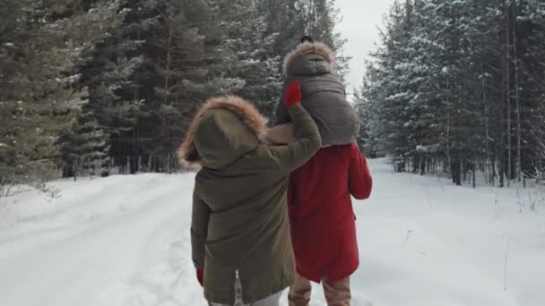 아이가 겨울이면 소나무 공원을 산책하며 수있는 현대적 가족의 모습을 돌아보는 — 비디오