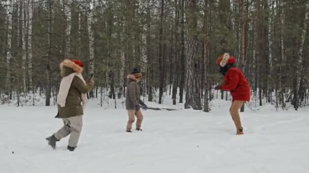 在寒冷的冬日里 老黑人男子 妇女和他们的儿子在打雪球 — 图库视频影像