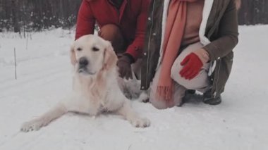 Neşeli, genç, Afro-Amerikan heteroseksüel çiftin sevimli köpekleri, kış ormanlarında diz çökmüş, eğleniyor ve gülüyorlar.
