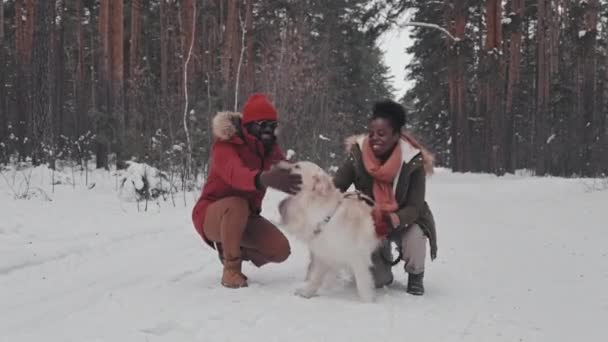 Dlouho Šťastný Mladý Afroameričan Hetero Pár Mazlení Rozkošný Pes Klečí — Stock video