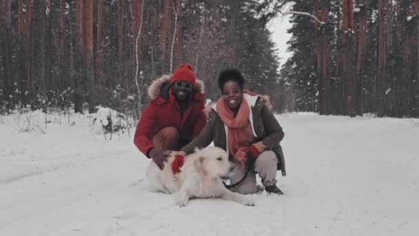 Dlouhý Portrét Šťastný Mladý Afroameričan Hetero Pár Mazlení Rozkošný Pes — Stock video