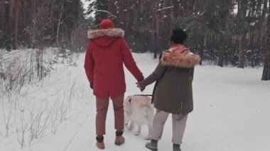 Genç Afro-Amerikan heteroseksüel çiftin kış parkında köpekleriyle yürümesini izlemek, konuşmak ve gülümsemek.