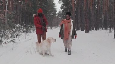 Genç Afro-Amerikan heteroseksüel çiftin kış parkında yürüyen köpeğinin izini sürmek, konuşmak ve gülümsemek.