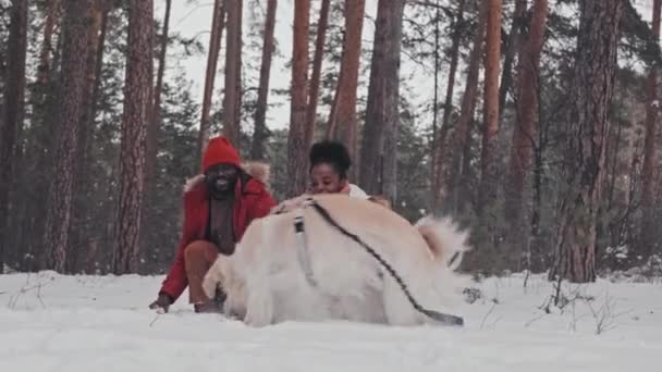 Long Shot Cheerful Black Woman Man Playing Golden Retriever Forest — Stock Video
