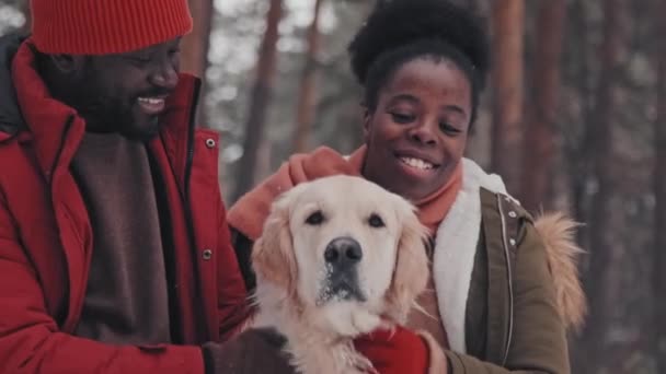 Zpomalení Pohybu Mladých Afroameričtí Manželé Mazlení Šťastný Zlatý Retrívr Pes — Stock video
