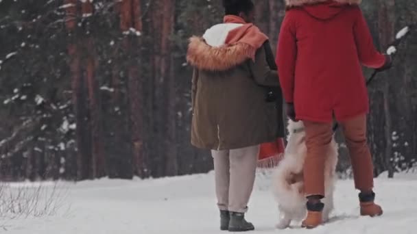 Rückansicht Von Liebenden Frau Und Mann Händchen Haltend Spaziergang Mit — Stockvideo