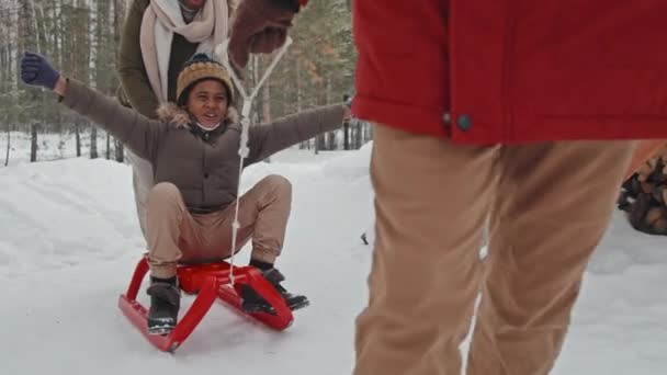 Kış Günü Kayak Yapmaktan Zevk Alan Mutlu Afrikalı Amerikalı Çocuk — Stok video