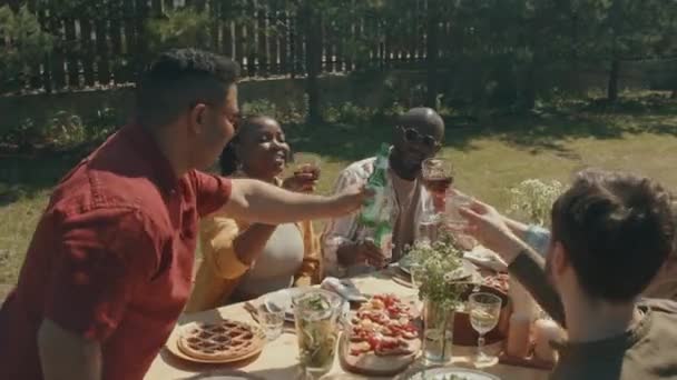 Gruppo Multietnico Uomini Donne Bicchieri Bottiglie Con Bevande Che Celebrano — Video Stock