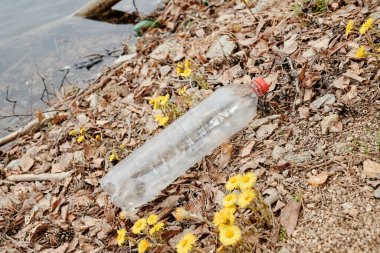 Orman gölünün kıyısındaki boş plastik şişe. Çiçeklerin yanında, yukarıdan manzara.