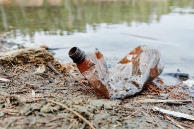 Forest Lake Sahili 'ndeki plastik şişe, kirlilik kavramı.