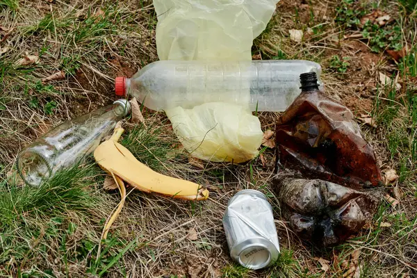 Skórka Banana Plastikowe Butelki Puszki Ziemi Lesie — Zdjęcie stockowe