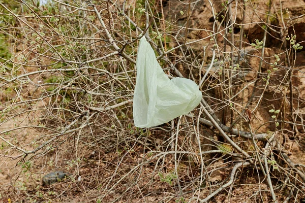 Bolsa Plástico Verde Ramas Arbusto Parque Ciudad — Foto de Stock