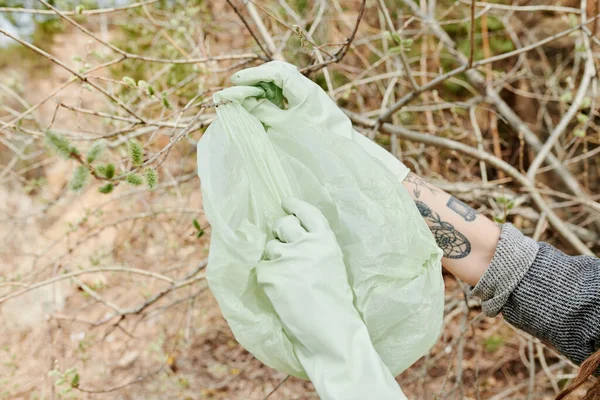 Hands Volunteer Wearing Gloves Collecting Garbage Bushes Park — Stock Photo, Image
