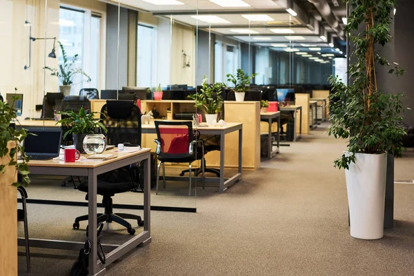 녹색식물 이자라고 사무실 그리고 직원들의 용되는 안락의자가 — 스톡 사진