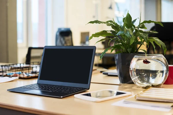 Laptop Obklopený Květináčem Zelenou Domácí Rostlinou Akvárkem Plným Vody Digitálním — Stock fotografie