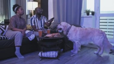 Genç Afrikalı Amerikalı bir çiftin oturma odasında oturup, akşamları televizyon izlediği, atıştırmalık bir şeyler yediği, köpeklerin yerde yürüdüğü bir sahne.