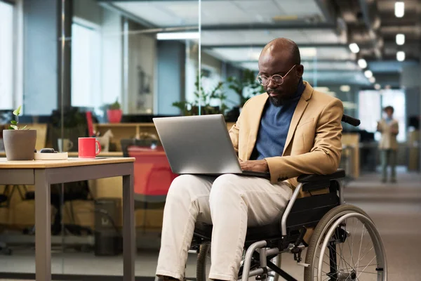 Afro Amerikaanse Zakenman Met Een Handicap Zit Rolstoel Met Laptop — Stockfoto