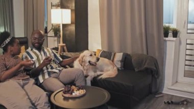Orta uzunlukta, oturma odasında kanepede oturan, konuşan, bardaktan kırmızı şarap içen siyahi kadın ve köpeği olan bir adam.