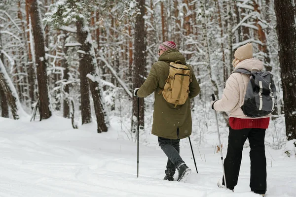 Sırt Çantaları Yürüyüş Çubuklarıyla Seyahat Eden Olgun Çiftlerin Kışın Hafta — Stok fotoğraf