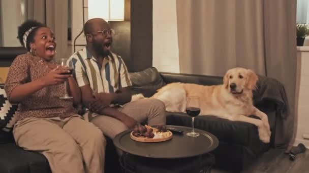 中長期の若いですアフリカ系アメリカ人のガールフレンドとボーイフレンド座っています犬と一緒にソファの上にリビングルーム カップル飲む赤ワインから眼鏡 見てスリラーテレビ — ストック動画
