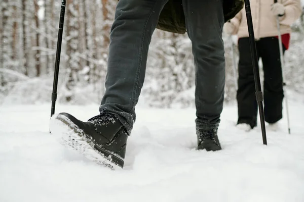 Kış Günü Karısı Kışın Onu Takip Ederken Orman Yolunda Yürüyen — Stok fotoğraf