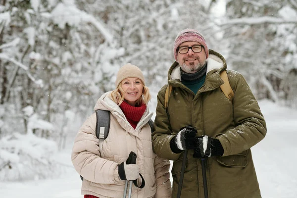 Wesoła Para Seniorów Kijami Trekkingowymi Patrzącymi Kamerę Podczas Spaceru Zimowym — Zdjęcie stockowe
