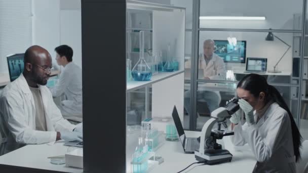 Laboratuvarda Çalışan Çeşitli Bilim Adamları — Stok video