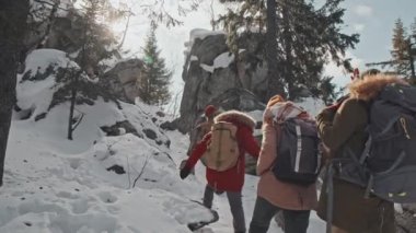 Kış tatilini birlikte dağın zirvesine tırmanarak geçiren dört genç erkek ve kadının alçak açılı görüntüsü.