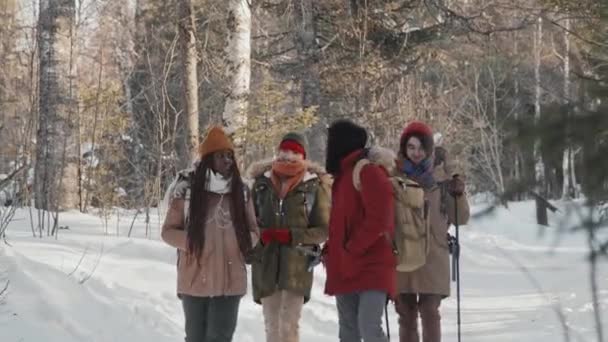 Group Young African American Caucasian Friends Wearing Warm Clothes Backpacks — Stock Video