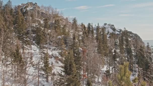 Nikdo Nestřílel Nádhernou Horskou Krajinu Jedlemi Březovými Lesy Slunečného Zimního — Stock video