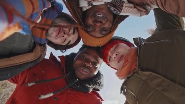 从下面的图片中可以看到年轻的非裔美国人和白人朋友在阳光明媚的冬日站在室外看着摄像机 — 图库视频影像