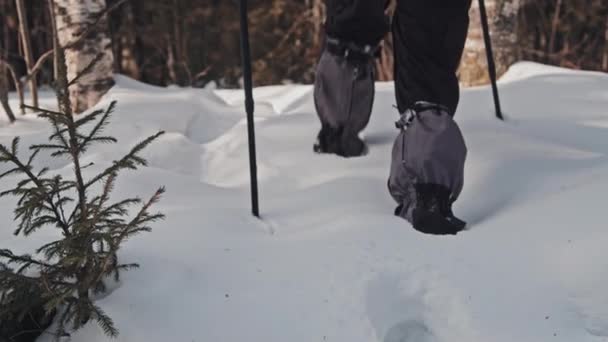 Zadní Pohled Nepoznatelný Muž Pěší Turistiku Lese Zimní Den Pomocí — Stock video