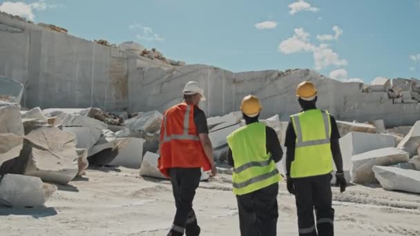 Visão Traseira Três Etnicamente Diversos Especialistas Mineração Vestuário Trabalho Proteção — Vídeo de Stock