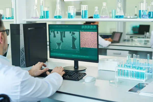 成熟した科学者の腕は 画面上の細胞の一部とコンピュータモニターの前に机に座って臨床実験を行う — ストック写真