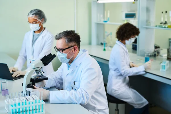 成熟的专业化学家或药理学家在显微镜下观察他实验室同事中的新物质 — 图库照片