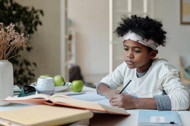 Çalışkan okul çocuğu ansiklopedi makalesine bakıyor ve masa başında oturup ödev hazırlarken deftere not alıyor.