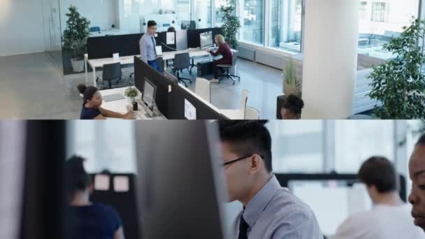 Captura Pantalla Dividida Hombres Mujeres Jóvenes Multiétnicos Que Trabajan Computadoras — Vídeos de Stock