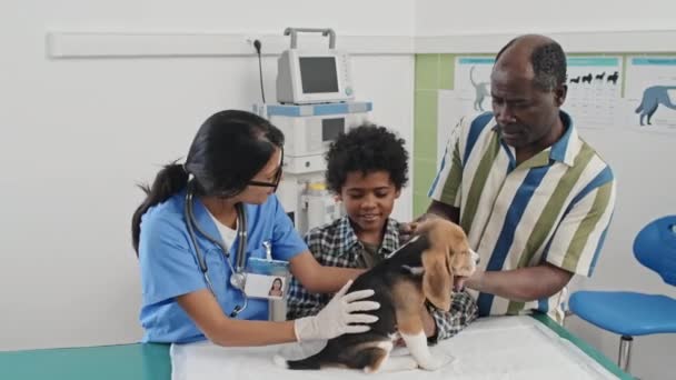 Oğlu Küçük Köpeğiyle Veteriner Kliniğini Ziyaret Eden Afrikalı Amerikalı Bir — Stok video