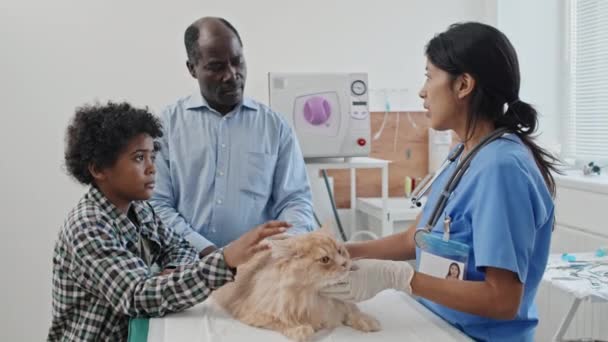 診療所での診察中に飼い主と猫の接し方を話し合う制服姿の女性獣医師 — ストック動画