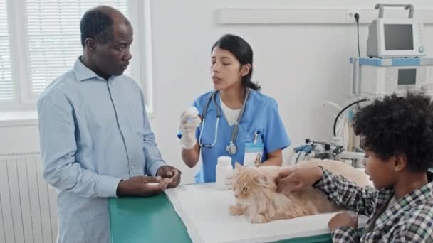Jóvenes Veterinarios Recetan Medicamentos Para Gatos Explican Camino Del Tratamiento — Vídeo de stock