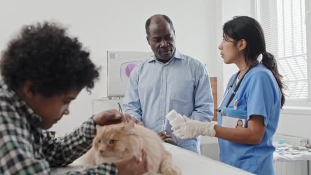 제복을 수의사가 동물용 처방하고 주인에게 그것을 복용하는 방법을 설명한다 — 비디오