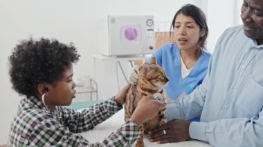 Afrika kökenli Amerikalı küçük bir çocuk, veteriner kliniğinde steteskopla kedilerin kalp atışlarını dinliyor.