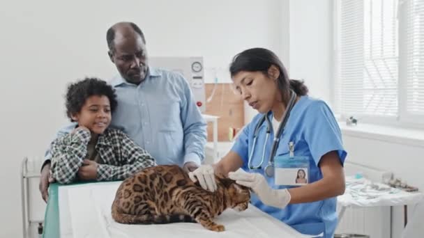 Papá Con Hijo Visitando Clínica Veterinaria Con Gato Escuchan Médico — Vídeo de stock