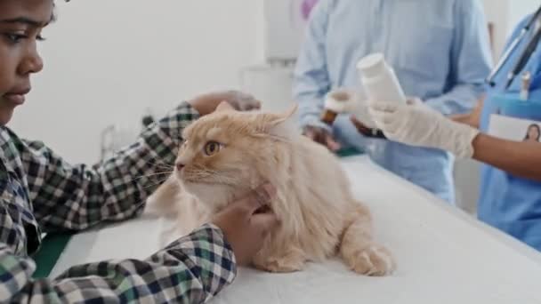 Afroamericano Pequeño Niño Acariciando Enfermo Gato Mientras Veterinario Prescripción Medicina — Vídeo de stock