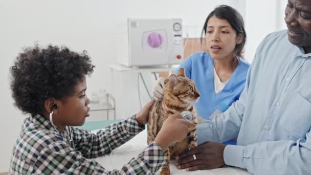 Menino Afro Americano Ouvindo Batimentos Cardíacos Gato Com Estetoscópio Junto — Vídeo de Stock