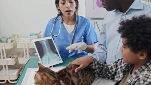 Veterinário Segurando Tablet Com Imagem Raio Gato Falando Com Proprietário — Vídeo de Stock