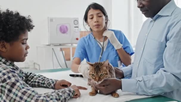 Africano Hombre Americano Sosteniendo Gato Con Hijo Mientras Veterinario Escuchar — Vídeo de stock