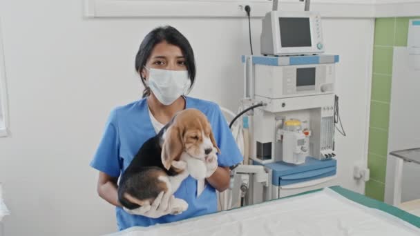 Retrato Una Joven Veterinaria Enmascarada Sosteniendo Cachorro Sus Brazos Mirando — Vídeo de stock